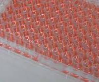 Cytotoxicité MTT sur NHDF - 1xMW96